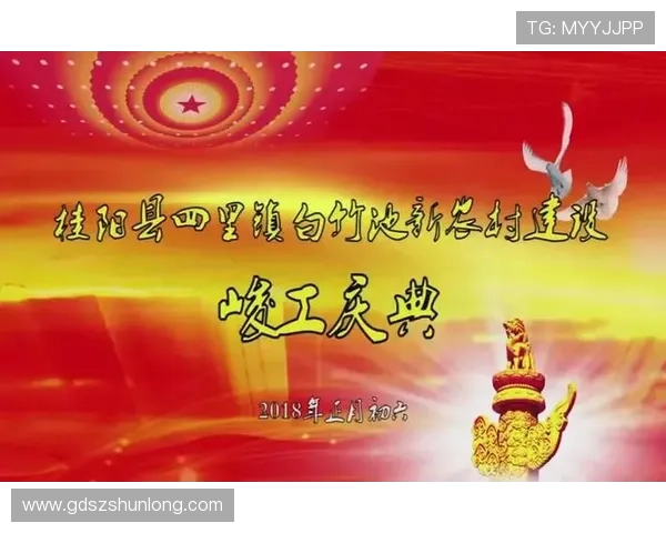 深圳乒乓球队的蜕变与崛起精英赛背后的奋斗与坚持