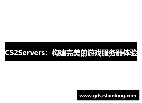 CS2Servers：构建完美的游戏服务器体验