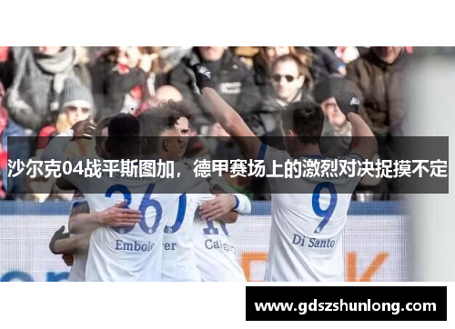 沙尔克04战平斯图加，德甲赛场上的激烈对决捉摸不定