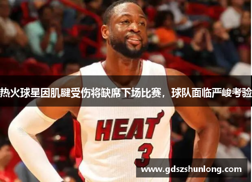 热火球星因肌腱受伤将缺席下场比赛，球队面临严峻考验