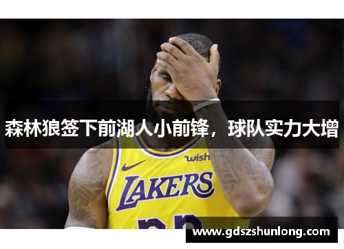 森林狼签下前湖人小前锋，球队实力大增