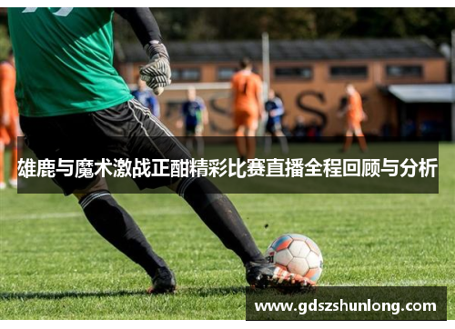 雄鹿与魔术激战正酣精彩比赛直播全程回顾与分析