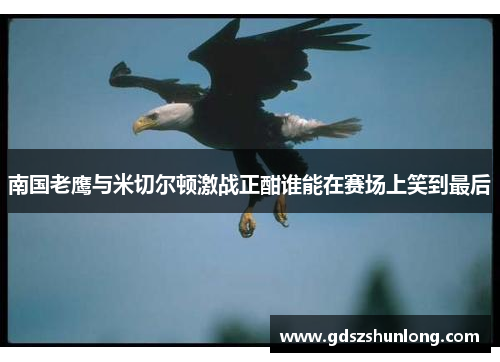 南国老鹰与米切尔顿激战正酣谁能在赛场上笑到最后